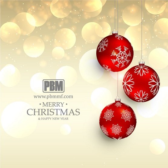 PBM-Christmas-and-Happy-New-Year.jpg